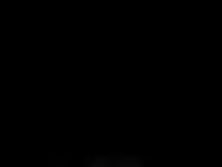 Auto Pratic Template